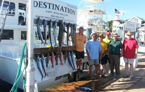 Destin Florida Cobia Fishing